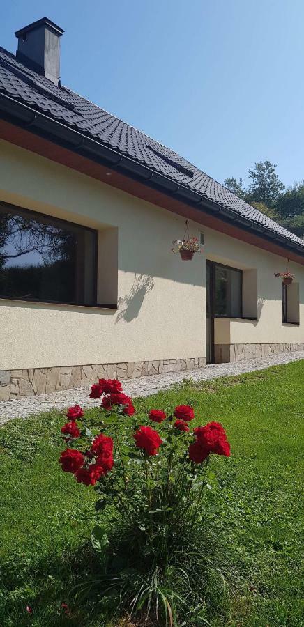 Powroznik 94 Apartment Мушина Екстериор снимка